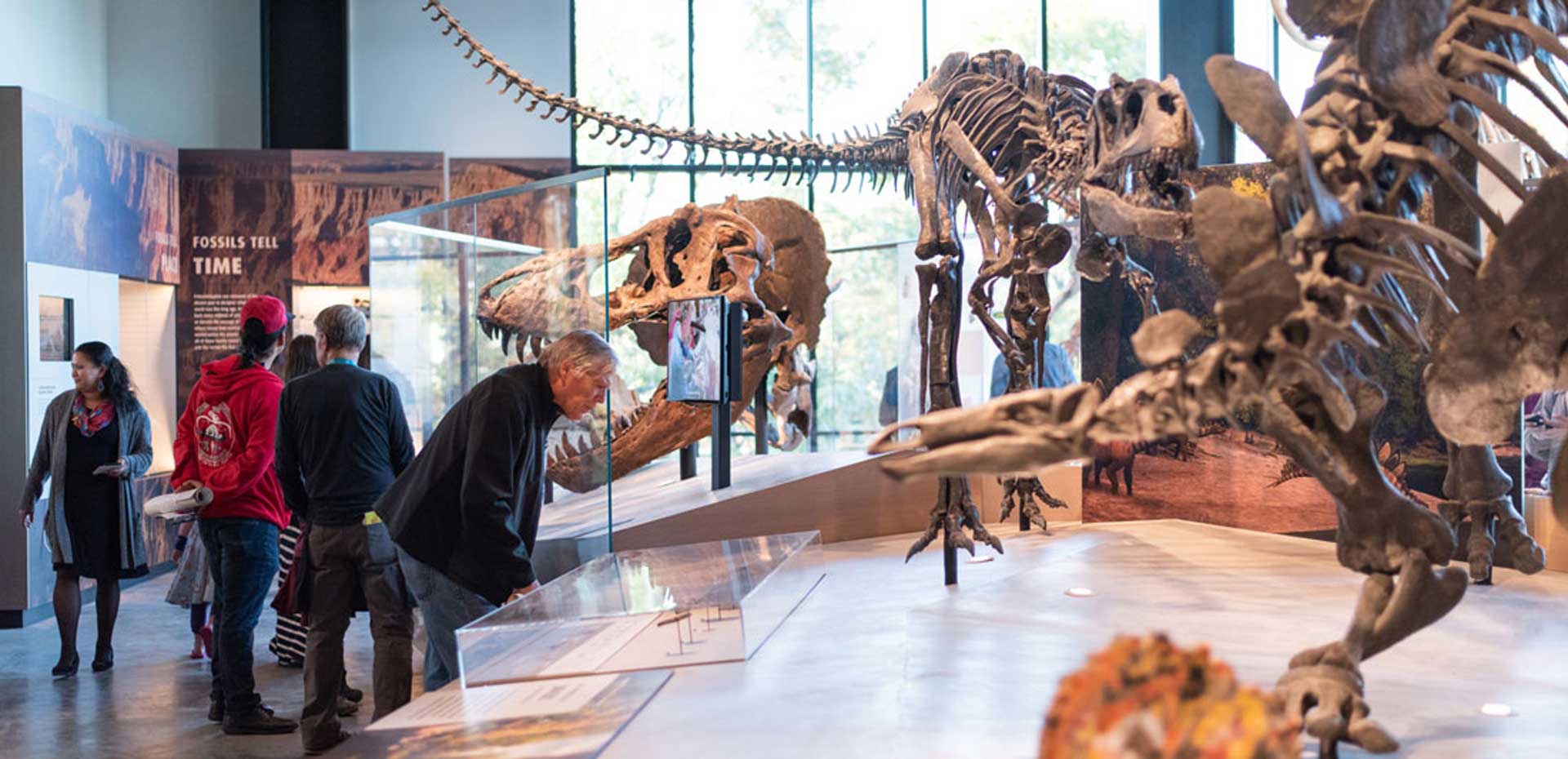 people in a dinosaur exhibit at the burke museum