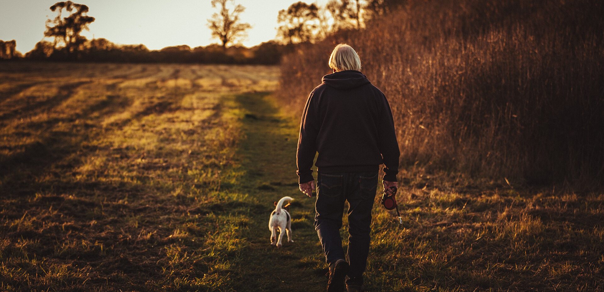 a man walks his dog in a field