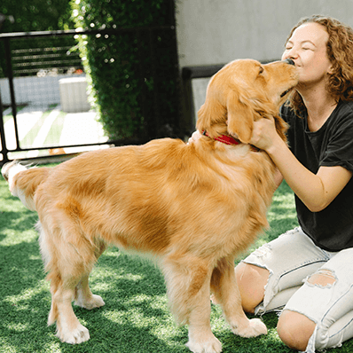 a dog licks a woman's face