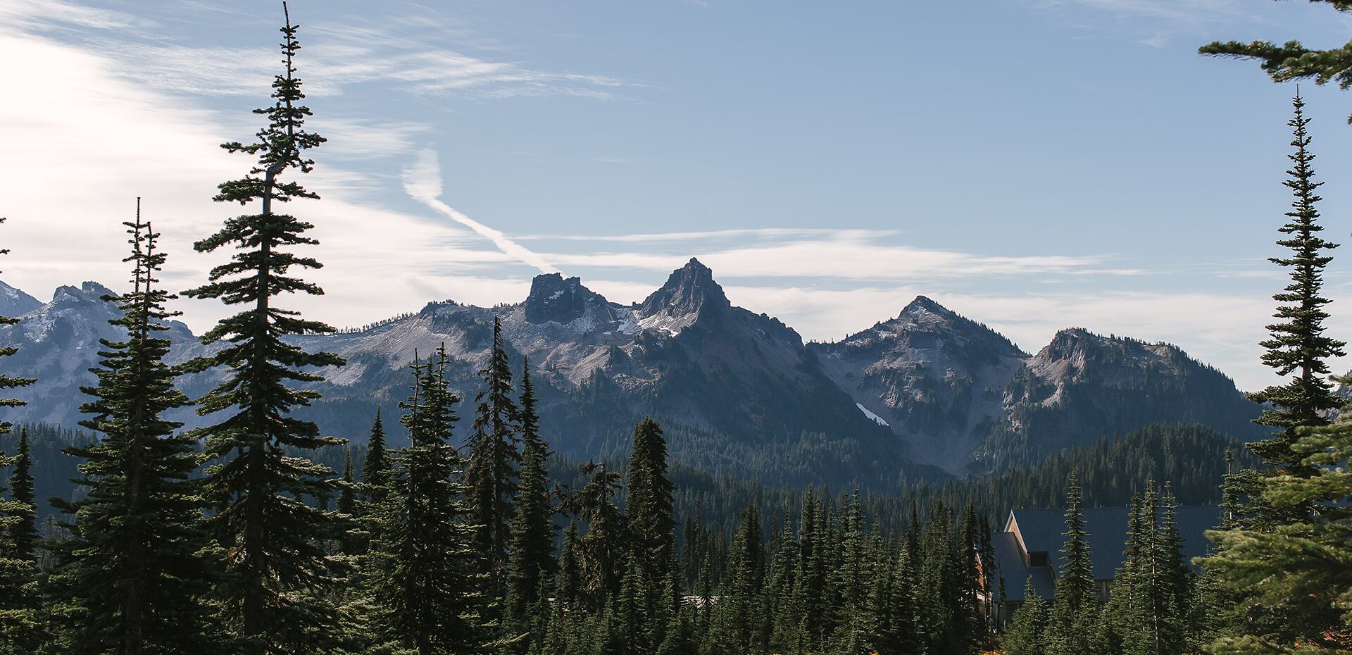an image of the pacific northwest mountainside