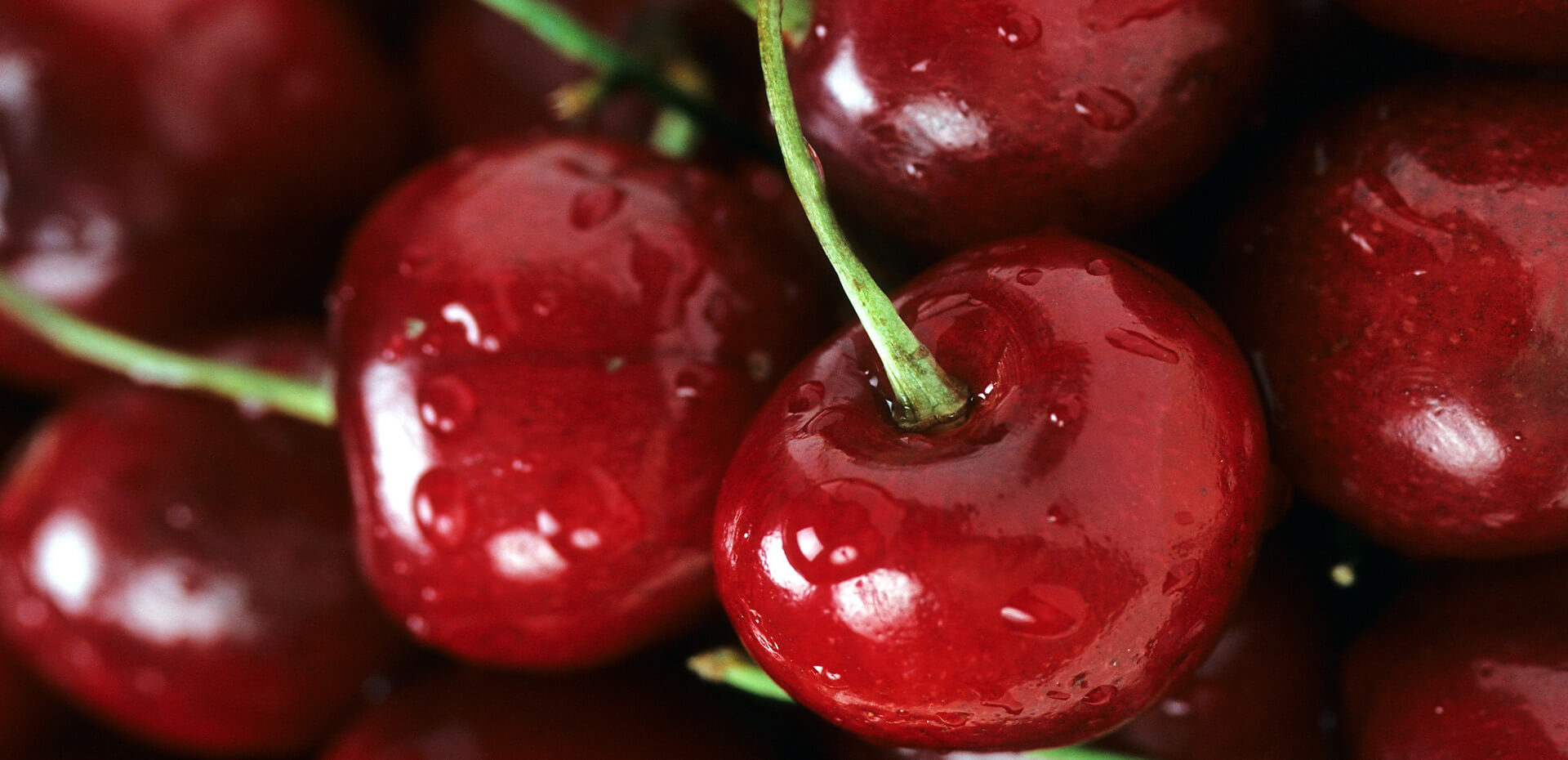 a closeup shot of cherries