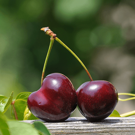 a closeup of cherries