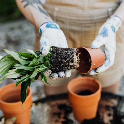 a person wears a gardening apron and gloves while potting plants