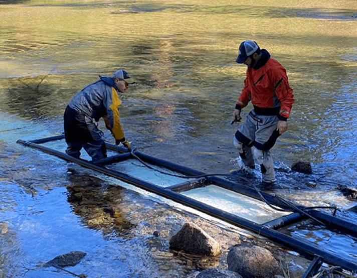 two people catch fish in a river